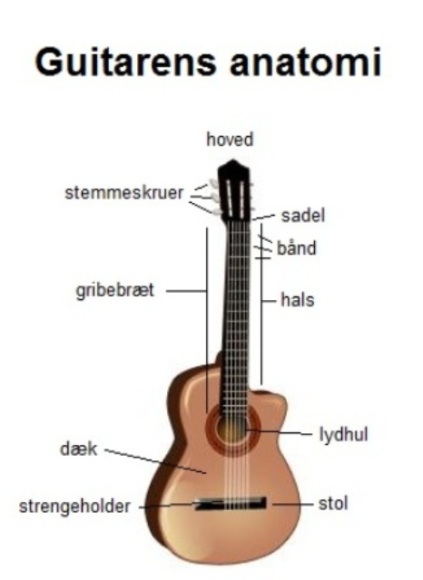 Guitarens anatomi - Guitar undervisning lektion 0.1 lærguitar.dk